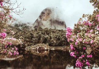 PLC驱动机械设备，高效管理与智能化解决方案